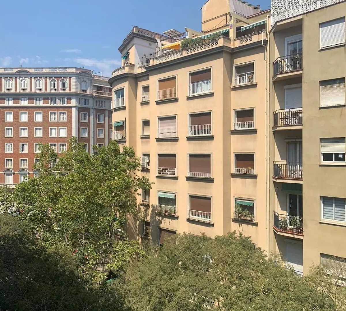 Hostal Habitacion Privada En Piso Compartido Lepanto Barcelona